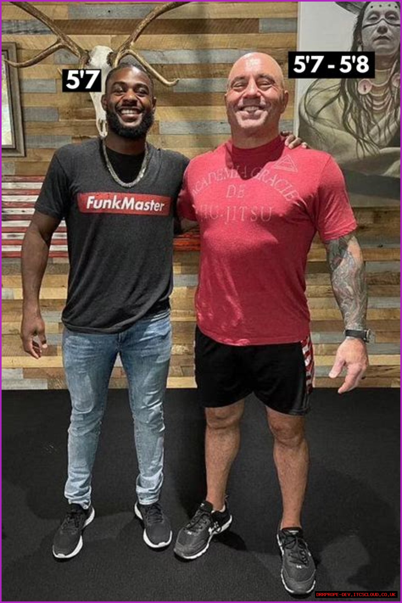 Joe Rogan Height: Everything You Need To Know
