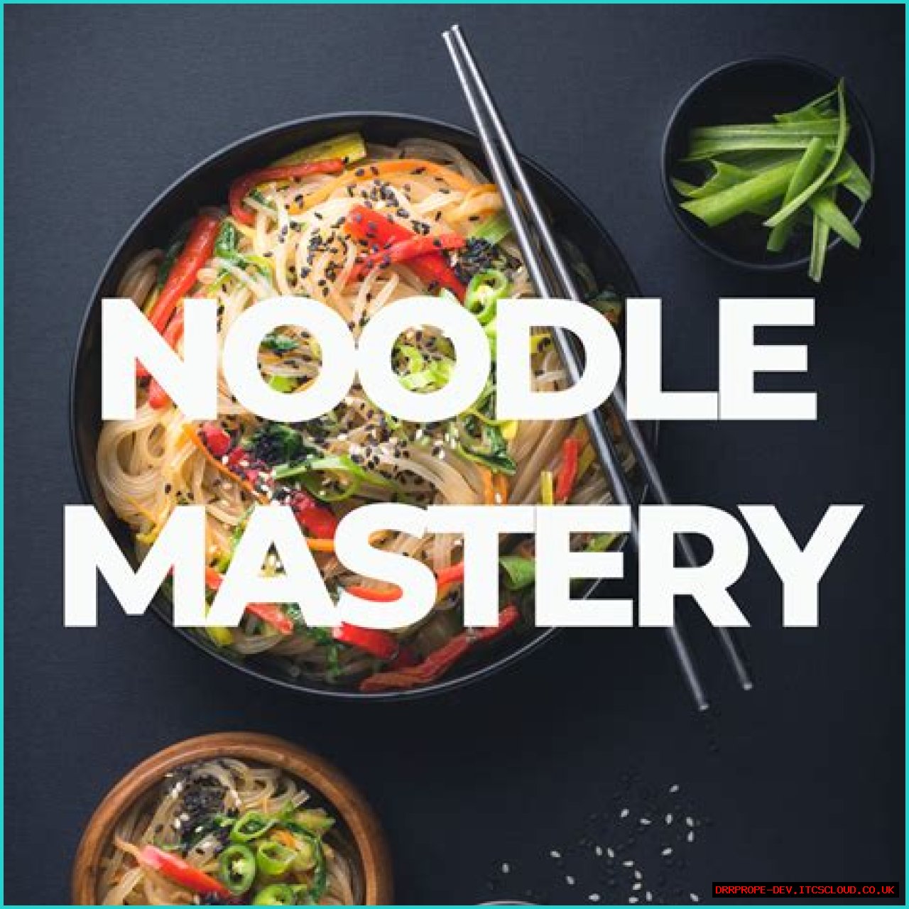 Noodle Maga: The Culinary Art Of Noodle Mastery