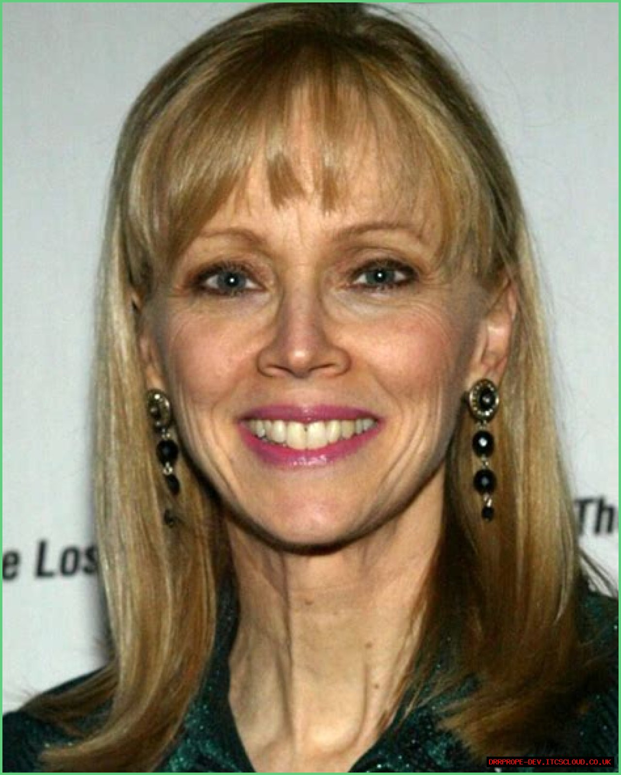 Shelley Long: A Journey Through Her Life And Career