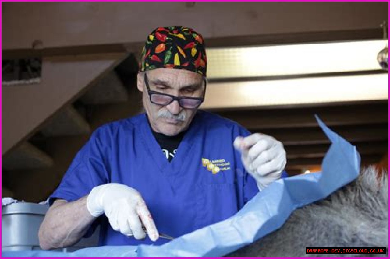 Understanding Dr. Jeff Young's Age And His Impact In Veterinary Medicine