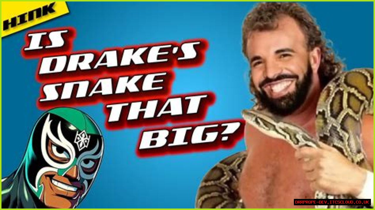 Understanding Drakescans: A Comprehensive Guide