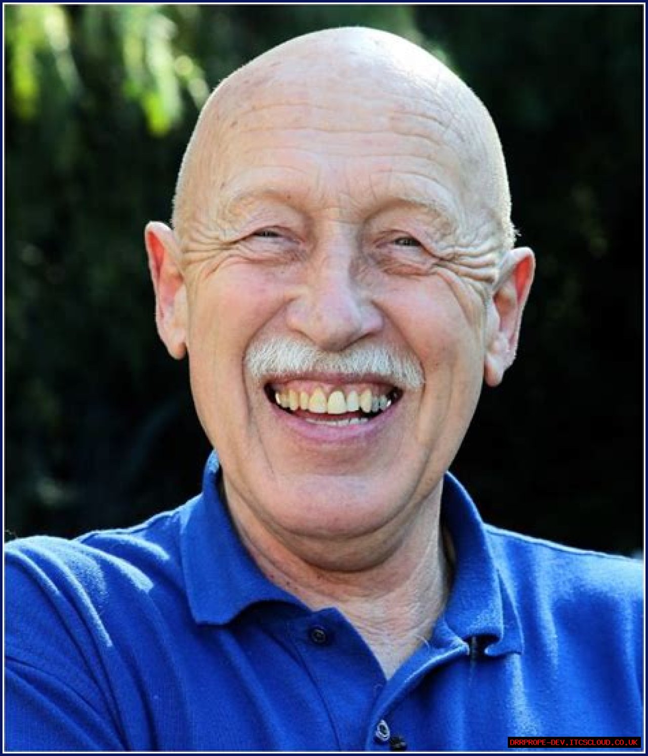 Unveiling The Wealth Of Dr. Pol: Understanding His Net Worth